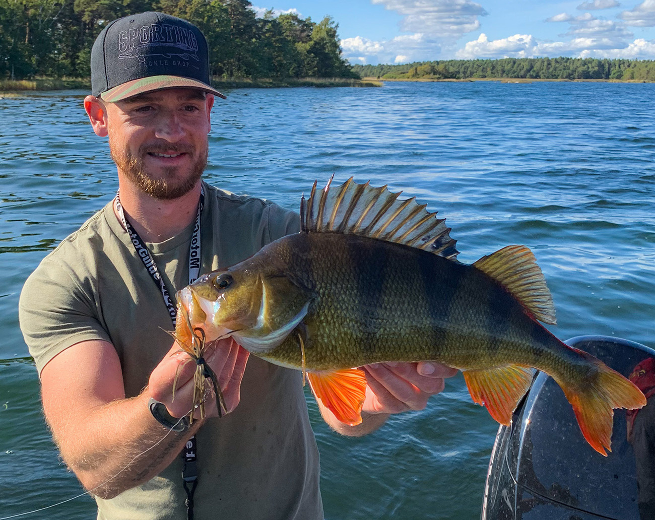 Deps Sakamata Shad 4,5''